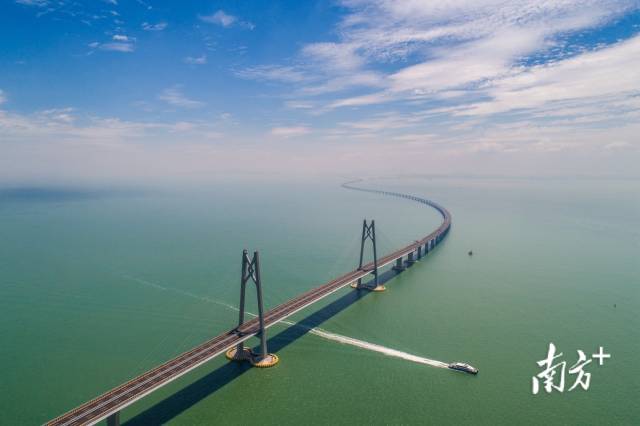 港珠澳大橋。南方日?qǐng)?bào)記者 張由瓊 攝