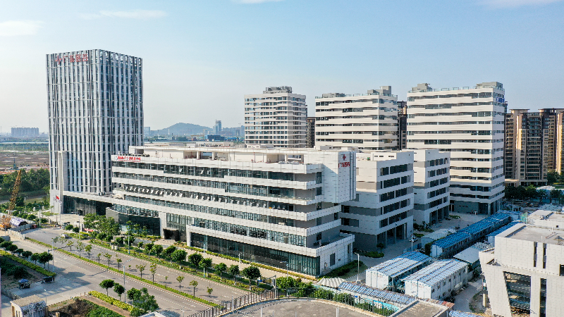 全面恢復(fù)通關(guān)后香港考察“天團(tuán)”為何來這里？廣州南沙給出了答案