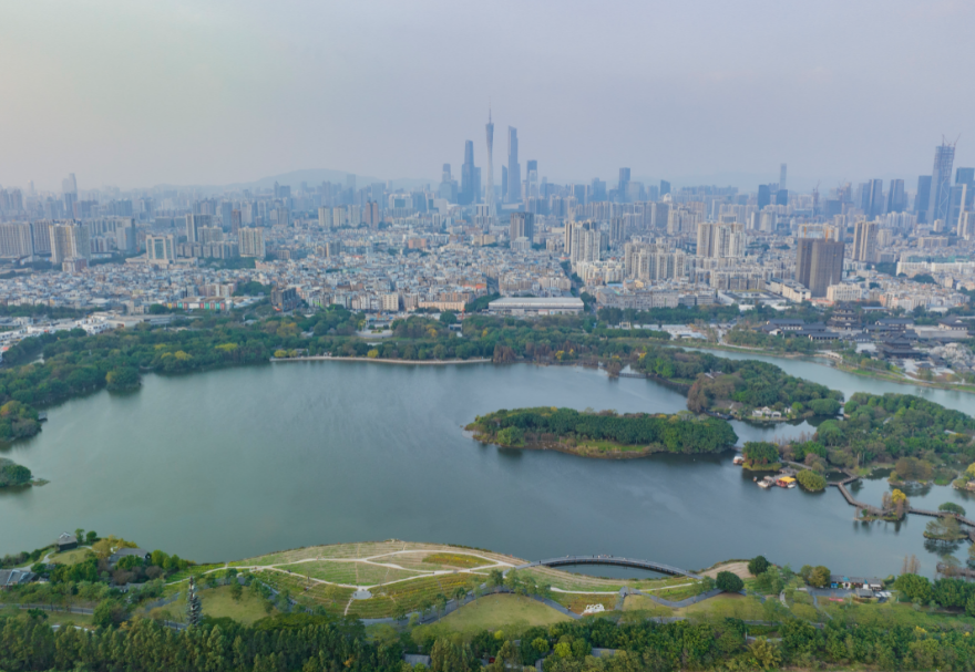 5月22日是國際生物多樣性日。濕地具有涵養(yǎng)水源、調(diào)節(jié)氣候、維持碳循環(huán)等極為重要的生態(tài)功能，是生物多樣性的重要發(fā)源地之一?；浉郯拇鬄硡^(qū)擁有多個濕地公園，優(yōu)質(zhì)的生態(tài)環(huán)境為各種生物提供了生存繁衍空間，對維護生物多樣性起到積極意義。廣州海珠國家濕地公園是全國特大城市中心區(qū)域面積最大的濕地公園，目前濕地率達79.4%，鳥類種類從72種增加到187種，昆蟲種類從66種增加值738種，魚類從36種增加到64種。圖為廣州海珠濕地公園。
