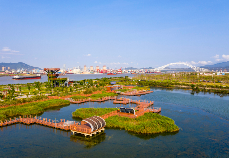 遠(yuǎn)眺芒洲濕地公園，滿眼翠綠，公園四周環(huán)繞一圈花草樹木，中間是水塘和綠洲，一些綠洲之間連接著紅色的棧道和浮橋，不遠(yuǎn)處的洪鶴大橋橫空而過。水塘邊生長著眾多紅樹林植物和大片的蘆葦，許多鳥類在此棲息、繁衍，這是橫琴鳥類的“天堂。圖為珠海橫琴芒洲濕地公園。