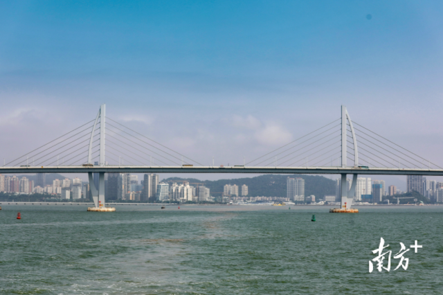 港珠澳大橋與香洲區(qū)遙相呼應。南方+記者 錢文攀攝