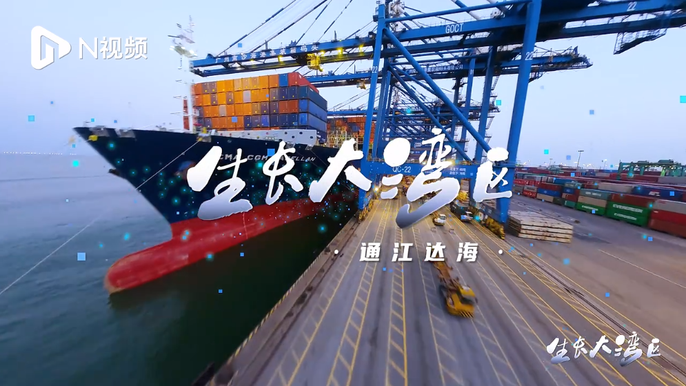 通江達(dá)海！在智慧碼頭南沙港看中國(guó)汽車外貿(mào)如何“生長(zhǎng)”