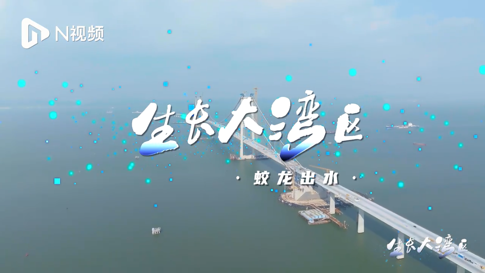 海上蛟龍，蓄勢(shì)待發(fā)！看深中通道如何打通“灣區(qū)主動(dòng)脈”