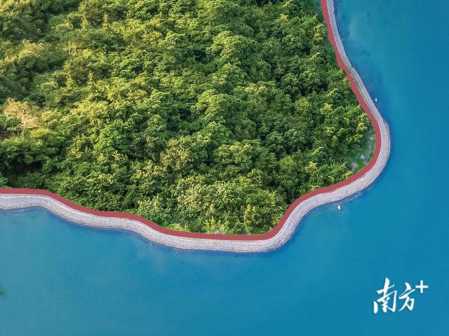 小桂綠道。大亞灣開發(fā)區(qū)供圖