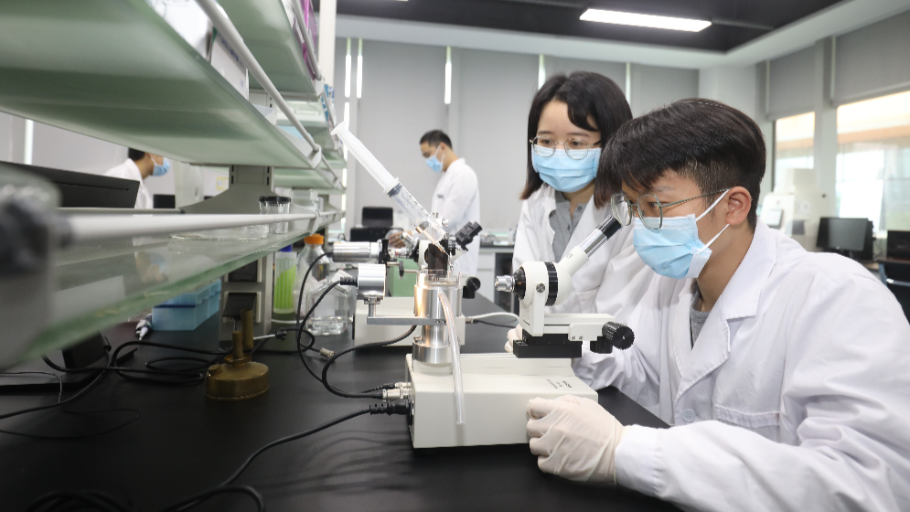 最高1億元項(xiàng)目資助、保障子女教育！橫琴出臺(tái)人才新政