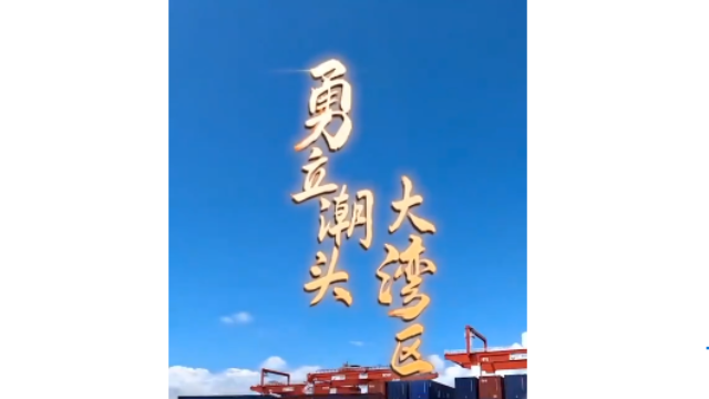 勇立潮頭大灣區(qū)丨震撼！看廣州南沙港智慧碼頭“隔空取物”