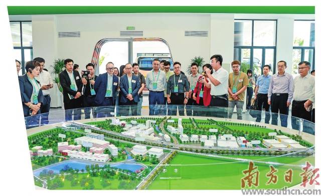 港商在大灣區(qū)農(nóng)產(chǎn)品基地考察基地建設發(fā)展情況。受訪者供圖