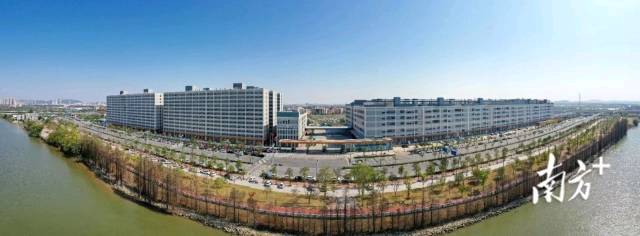 一批深圳企業(yè)來到江門建廠，嘗到了深江產(chǎn)業(yè)合作的甜頭。圖為德昌電機(jī)（江門）有限公司。南方+記者 楊興樂 攝