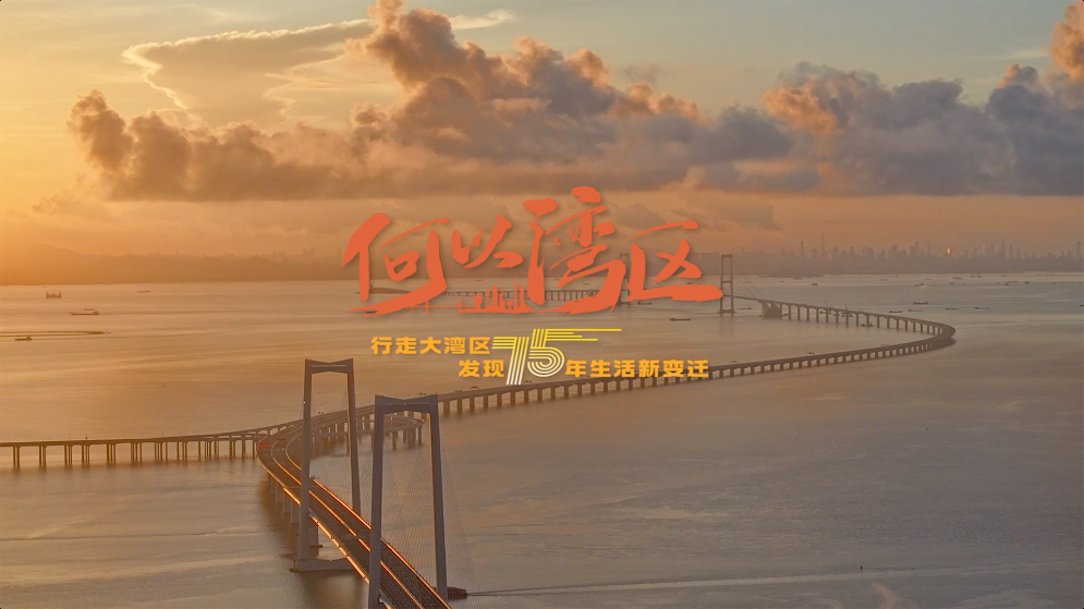 何以灣區(qū)：海峽“縫合術(shù)”和軌道網(wǎng)絡(luò)如何“縮小”大灣區(qū)？
