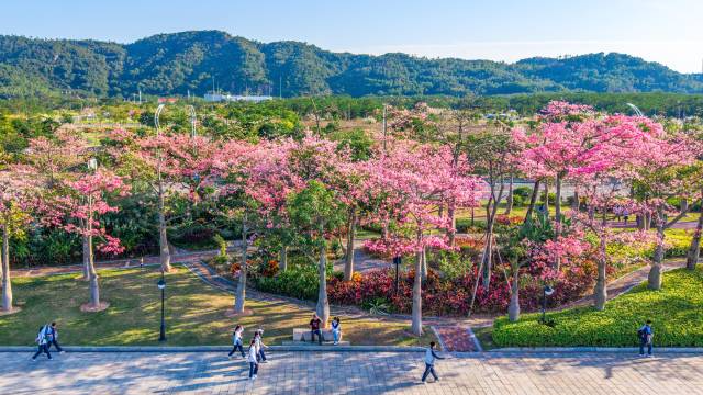張國基：規(guī)劃新增4條聯(lián)澳通道，推出琴澳交通“一卡通”