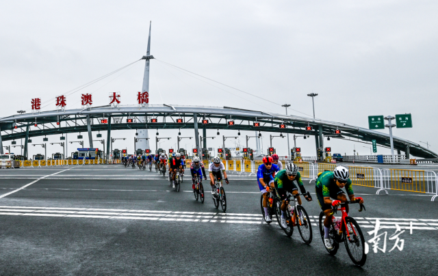 2024粵港澳公路自行車賽，選手們途經(jīng)港珠澳大橋。南方+記者 錢文攀 攝