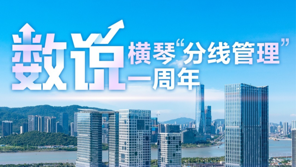 “分線管理”一周年，橫琴變了什么？