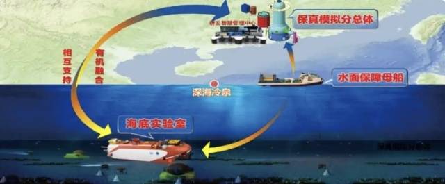 冷泉生態(tài)系統(tǒng)研究裝置三個分總體布局。資料圖片