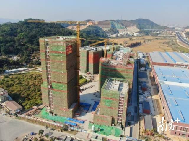 位于中山市南朗街道華照村的西灣清潔能源產(chǎn)業(yè)園。梁詩婷 攝