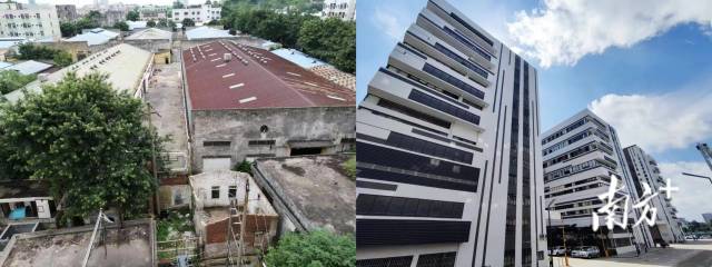 中山市小欖鎮(zhèn)永寧社區(qū)華中路工業(yè)園改造前后對比。資料圖片