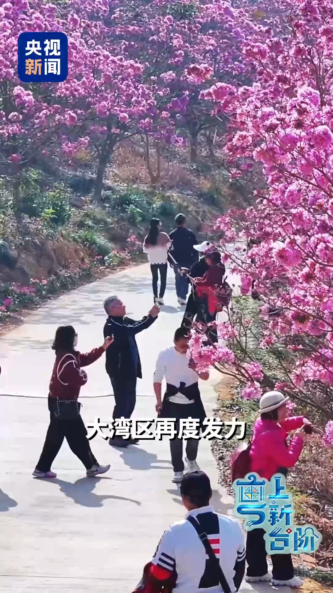 一趟由北向南開行的列車同時(shí)“驚動(dòng)”了京津冀和粵港澳大灣區(qū)兩大經(jīng)濟(jì)圈。