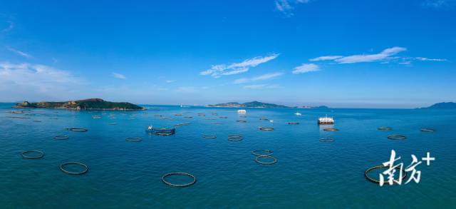 萬(wàn)山群島海洋牧場(chǎng)。