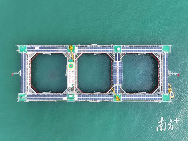 空中俯瞰“格盛一號(hào)”海洋牧場(chǎng)。