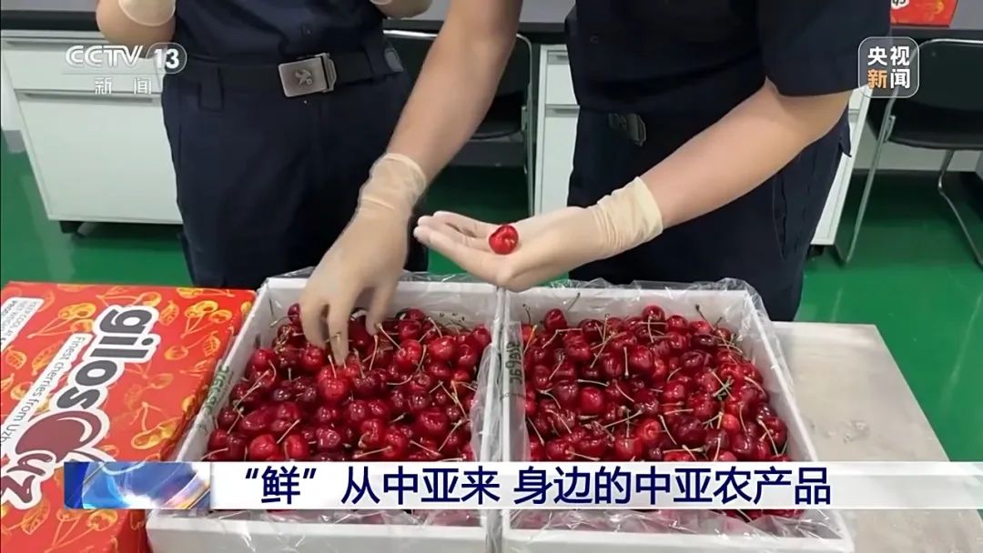 “鮮”從中亞來(lái) 身邊的中亞農(nóng)產(chǎn)品