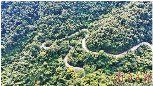 九曲十八彎的最美旅游公路南昆山路段。受訪單位供圖