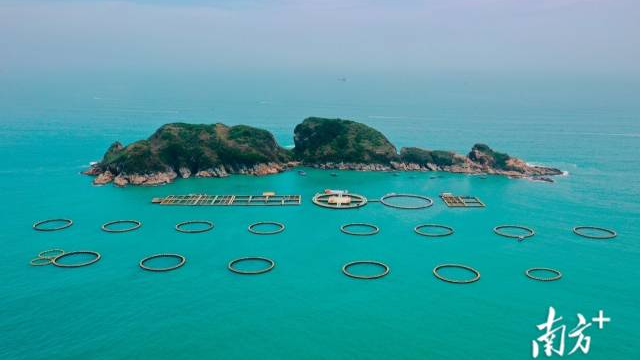 海洋牧場